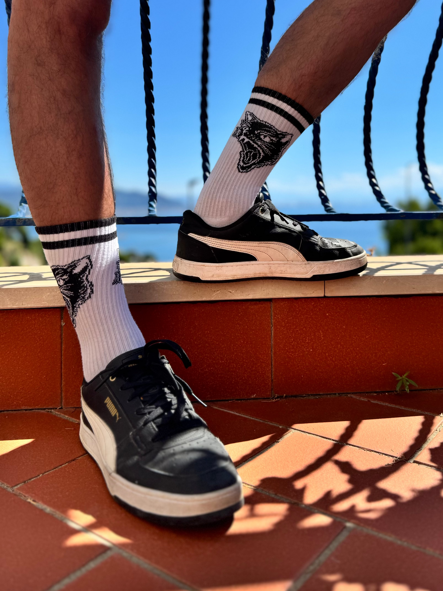 Socken – Stylisch, nachhaltig, katzenstark!