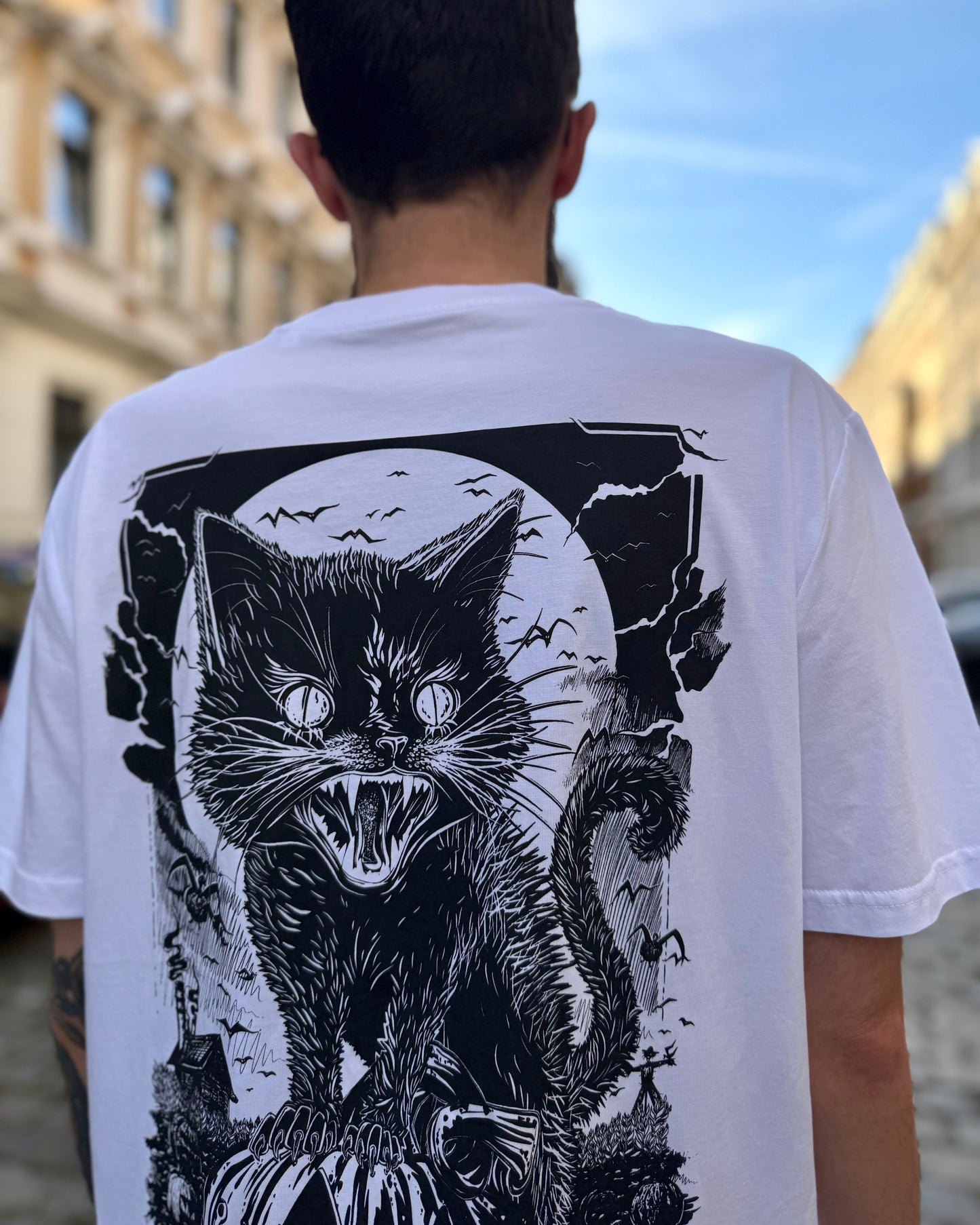 Pumpkin Cat - Süß. Düster. Unheimlich gut!