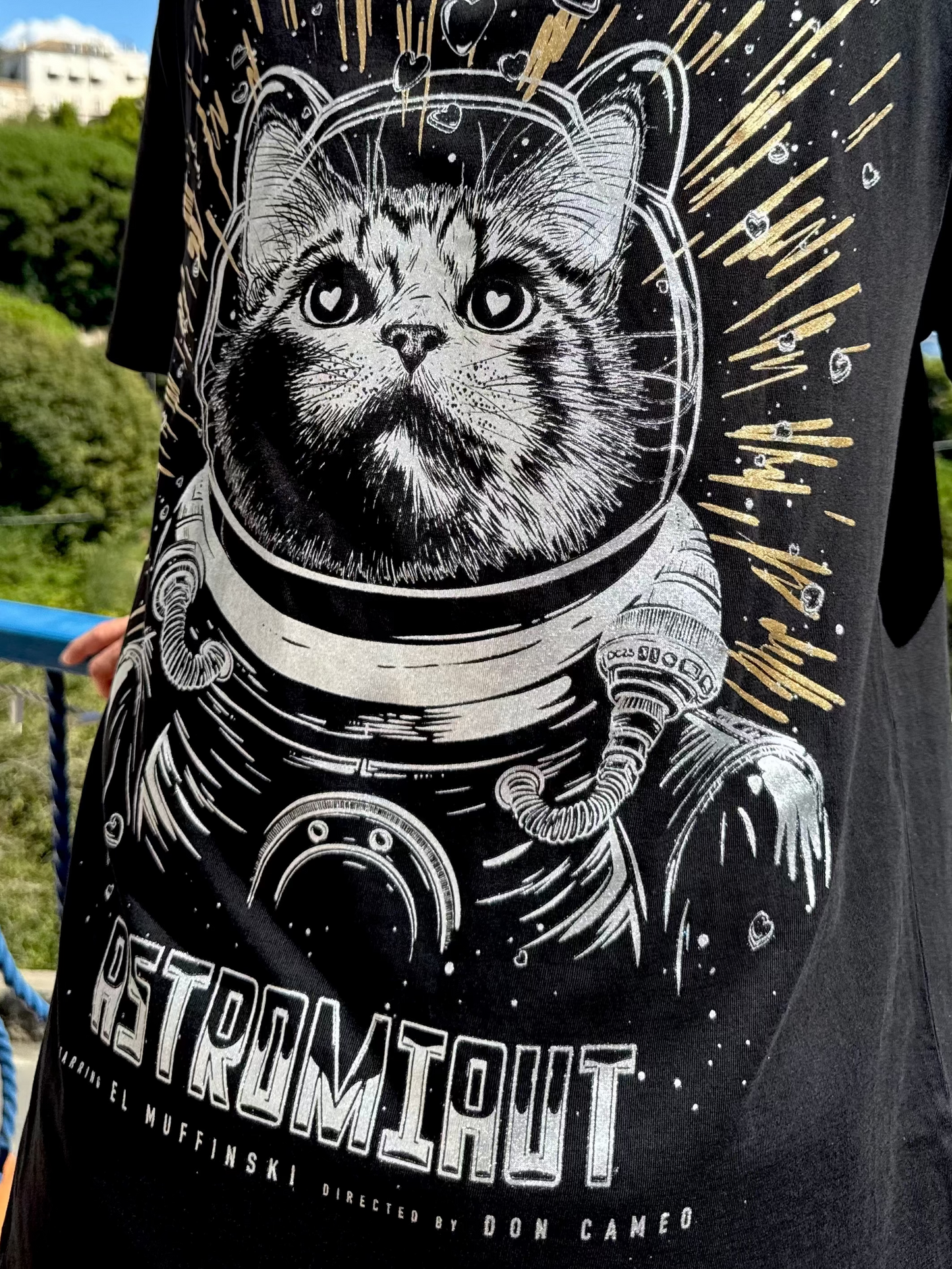 Astromiaut: Katzenpower im All!