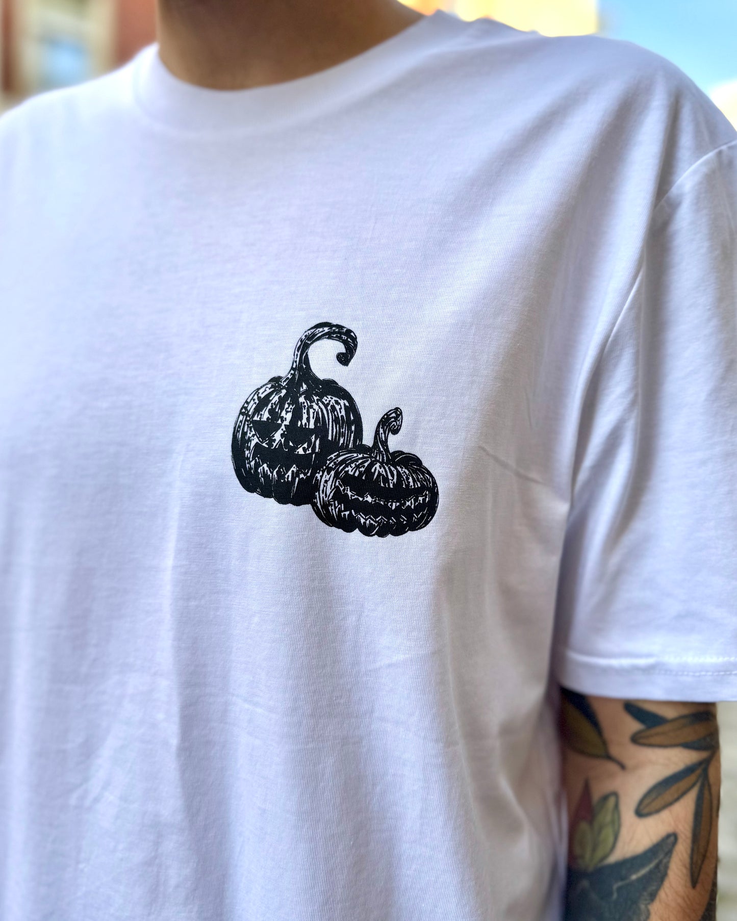 Pumpkin Cat - Süß. Düster. Unheimlich gut!